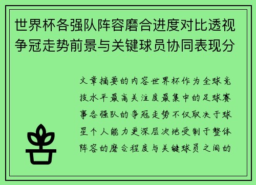世界杯各强队阵容磨合进度对比透视争冠走势前景与关键球员协同表现分析