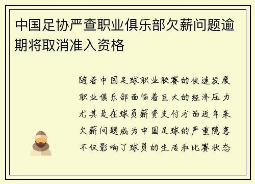 中国足协严查职业俱乐部欠薪问题逾期将取消准入资格